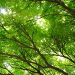 my fx book 登録方法