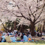 XMのMT5Zero口座を本格的に使ってみた感想