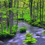 XMのリアルFX口座開設方法　完全版