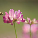 新年度４月のFXは円安トレンドに切り替わる