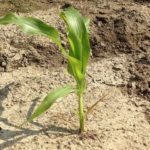 地味上げのドル円をロングしては利確、薄利多買いのトレードばかり