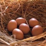 専業FXトレーダーのリスク回避はXMを使うこと