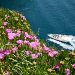 XMのスマホ取引ツールダウンロード方法からログインまでを解説します