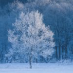 ボリンジャーバンドの進化系インジケーターを紹介します