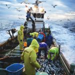 第４５回　コロナショックトレードの経験は己の糧になるからやっておけ。