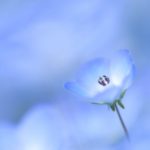 FXGTの近況報告。