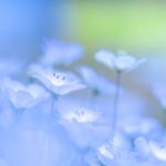 FXGTのMT5にログイン失敗する理由が判明。