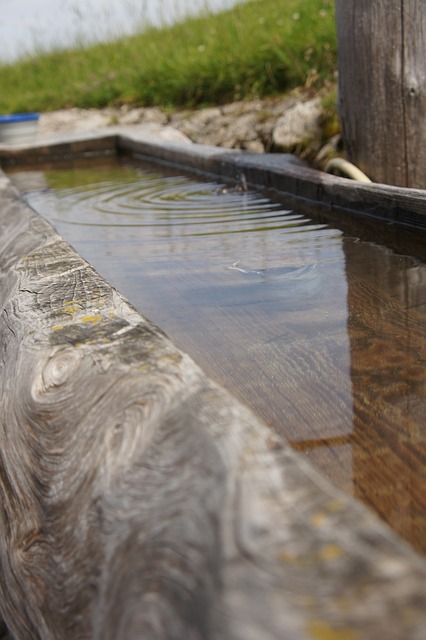 水飲み場